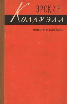 постер аудиокниги Полевые цветы