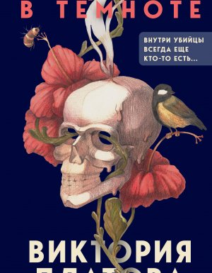 постер аудиокниги Увидимся в темноте - Виктория Платова