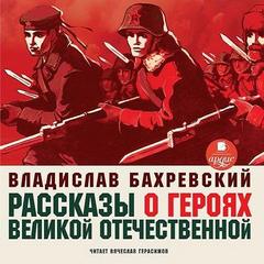 постер аудиокниги Бахревский Владислав - Рассказы о героях Великой Отечественной