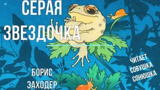 постер аудиокниги Серая звездочка - Заходер Борис