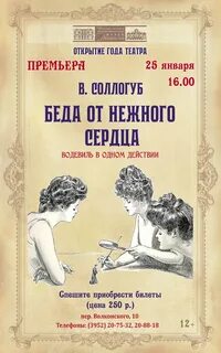 постер аудиокниги Беда от нежного сердца - Соллогуб Владимир