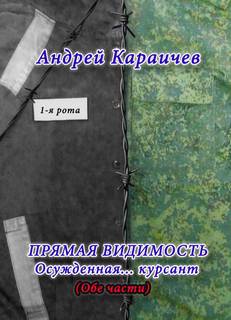 постер аудиокниги Прямая видимость - Караичев Андрей