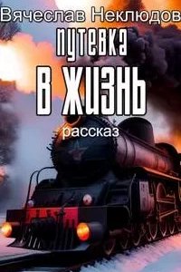 постер аудиокниги Путевка в жизнь - Вячеслав Неклюдов