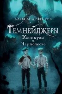 постер аудиокниги Темнейджеры. Каникулы в Чернолесье - Александр Егоров