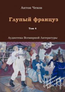 постер аудиокниги Глупый француз