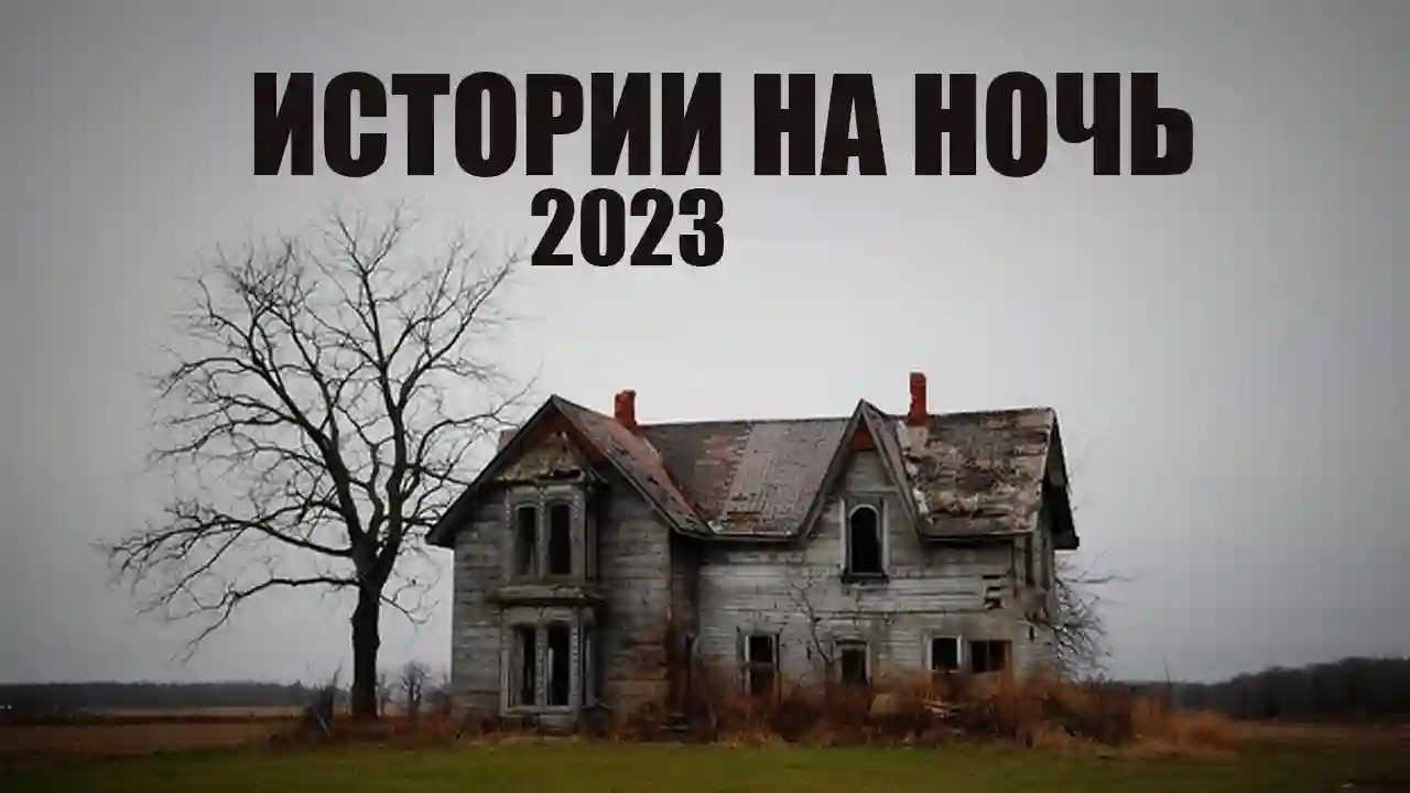 постер аудиокниги Сборник историй на ночь 2023 года