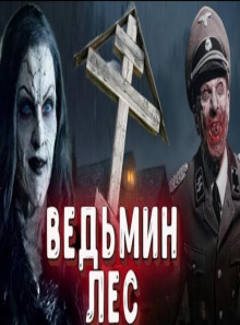 постер аудиокниги Ведьмин лес