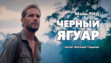 постер аудиокниги Черный ягуар