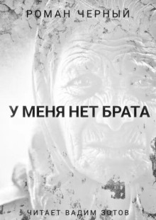 постер аудиокниги У меня нет брата