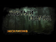 постер аудиокниги Лютый морок