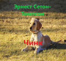 постер аудиокниги Чинк
