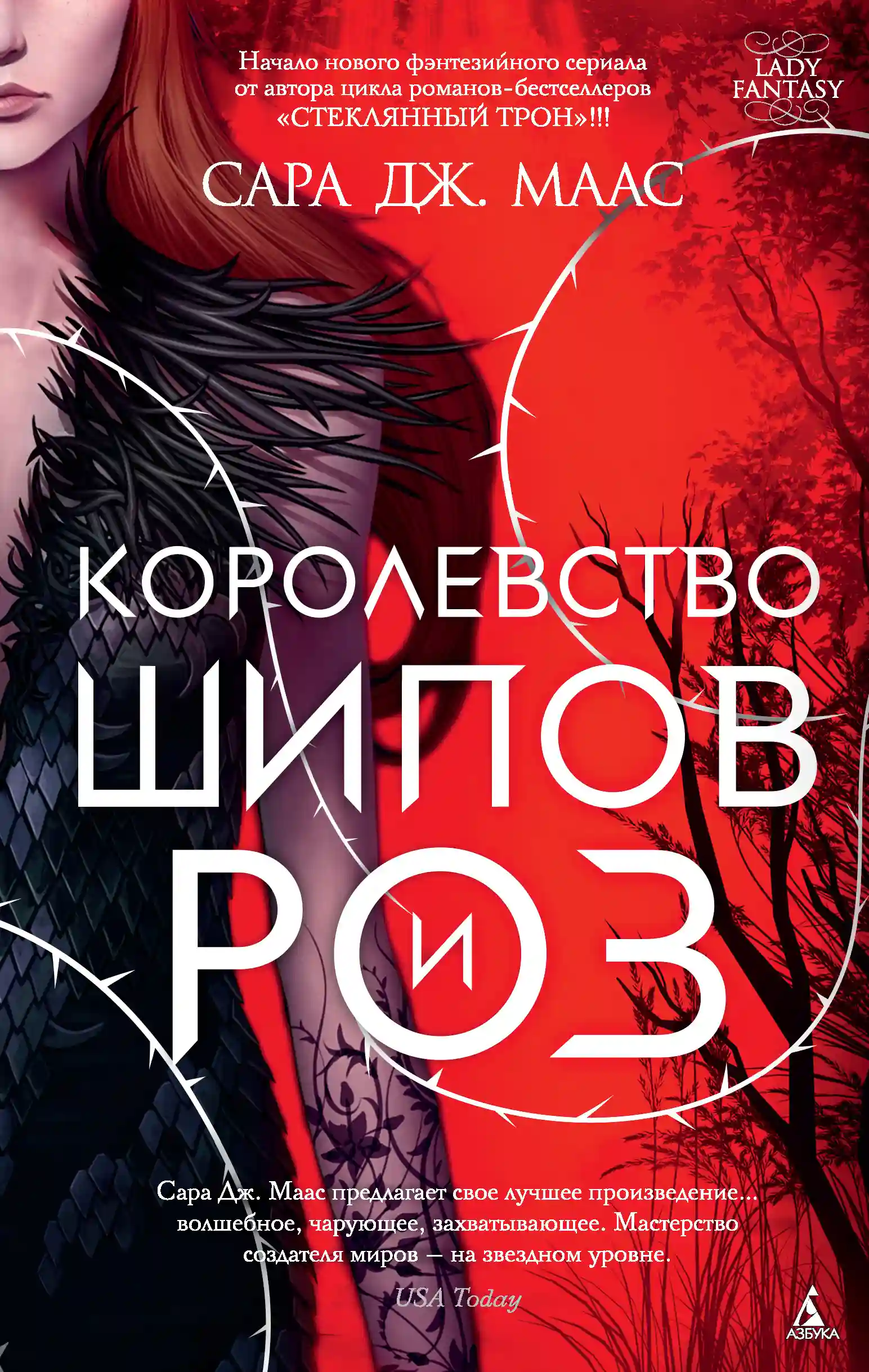 постер аудиокниги Королевство шипов и роз