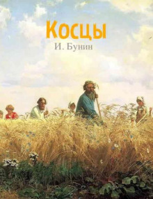 постер аудиокниги Косцы