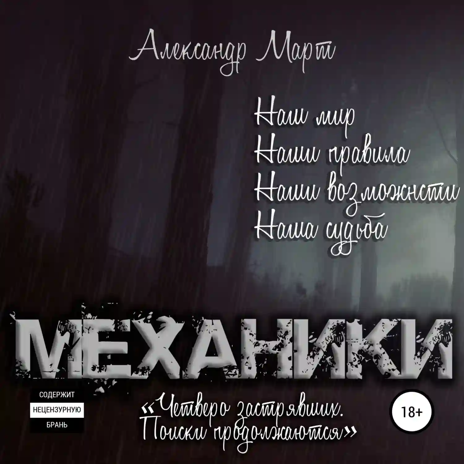 постер аудиокниги Четверо застрявших. Поиски продолжаются