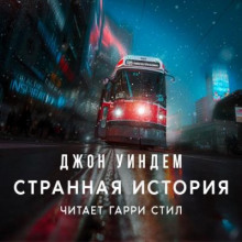 постер аудиокниги Странная история
