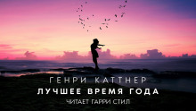 постер аудиокниги Лучшее время года