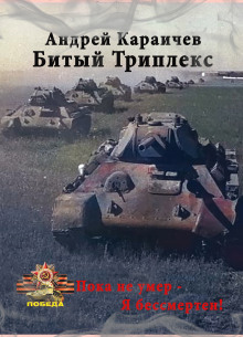 постер аудиокниги Битый триплекс