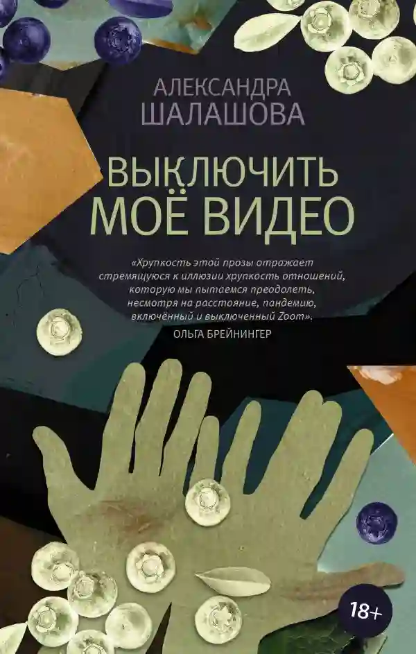 постер аудиокниги Выключить моё видео