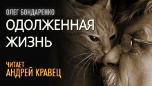 постер аудиокниги Одолженная жизнь