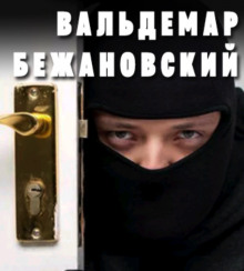 постер аудиокниги Профессионал