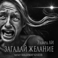 постер аудиокниги Загадай желание