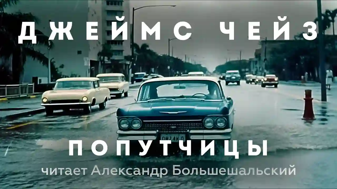 постер аудиокниги Попутчицы