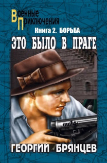 постер аудиокниги Борьба