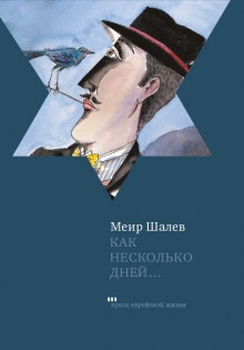 постер аудиокниги Как несколько дней...