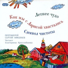 постер аудиокниги Детские истории сельского прихода