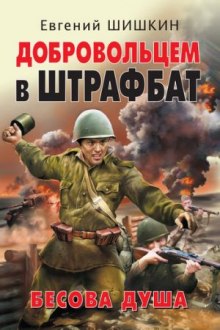 постер аудиокниги Бесова душа