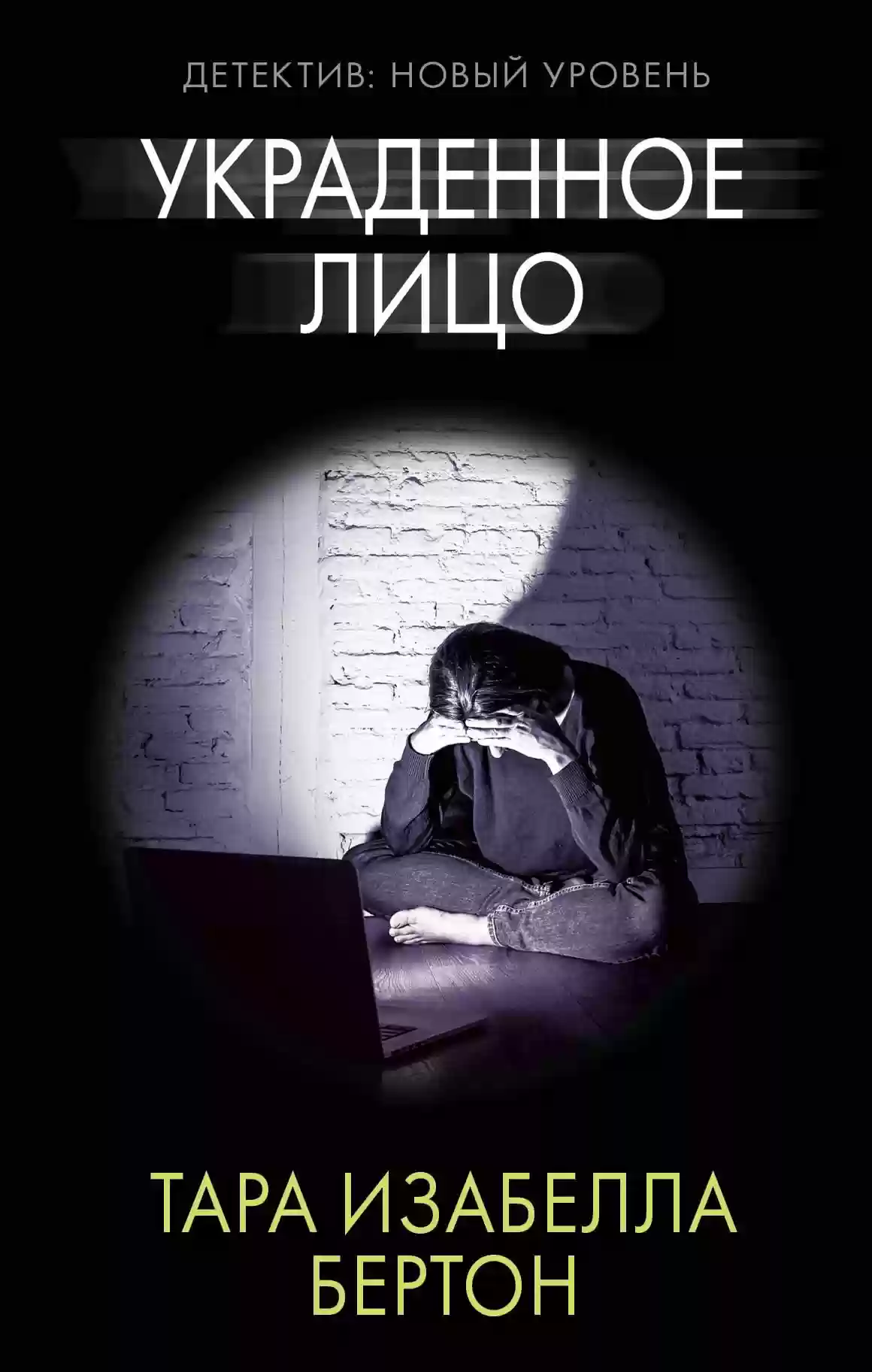 постер аудиокниги Украденное лицо