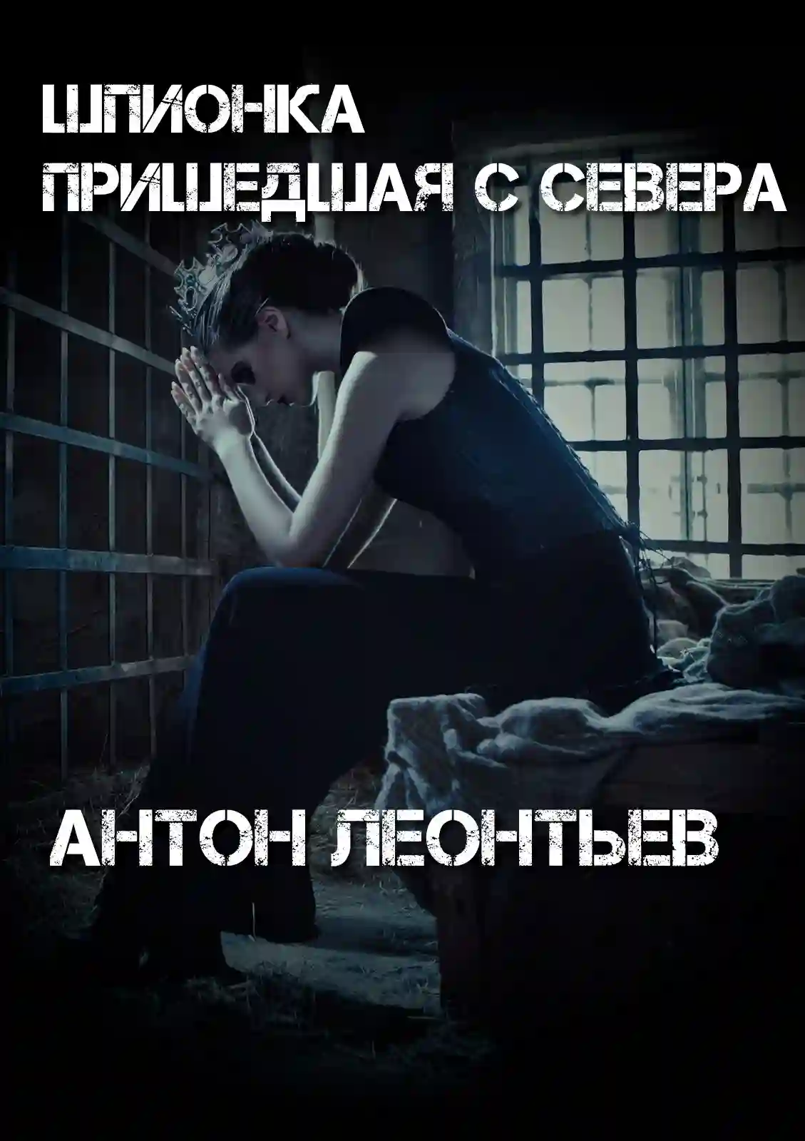 постер аудиокниги Шпионка, пришедшая с севера