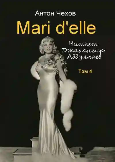 постер аудиокниги Mari d\'elle