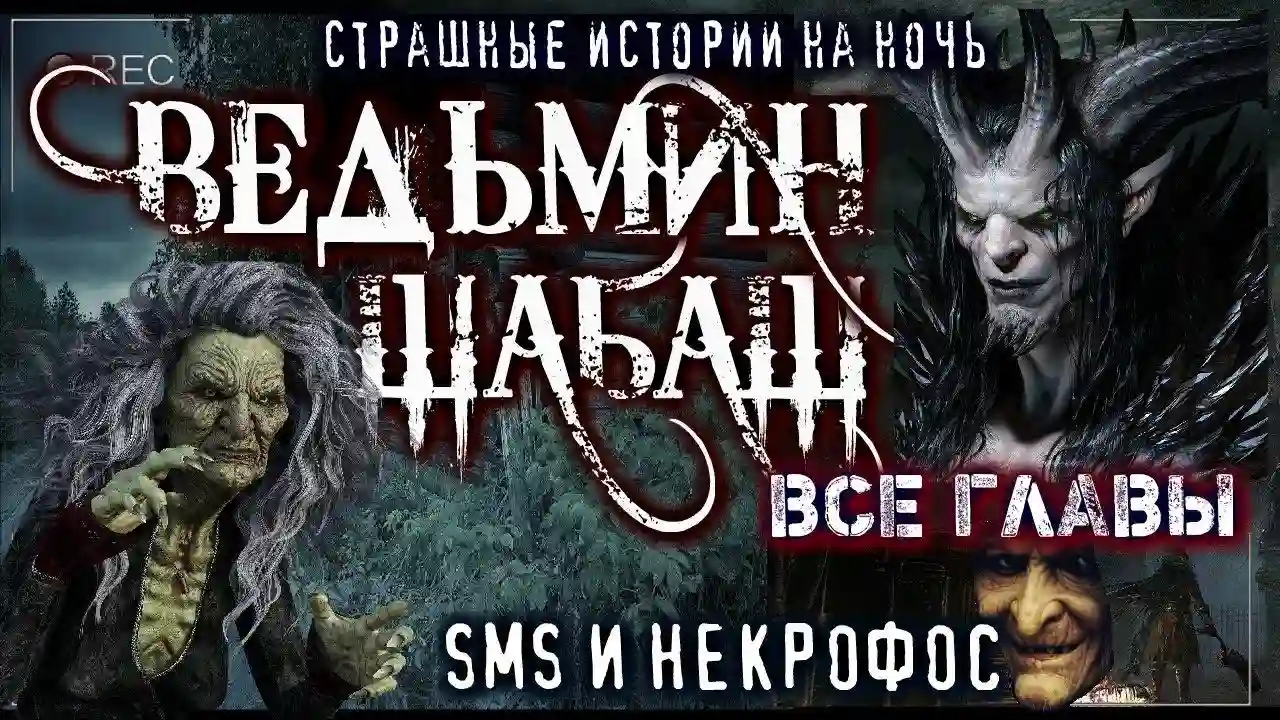 постер аудиокниги Ведьмы уходят в небо