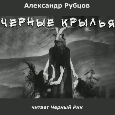 постер аудиокниги Черные крылья