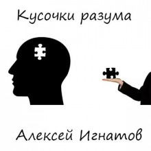 постер аудиокниги Кусочки разума