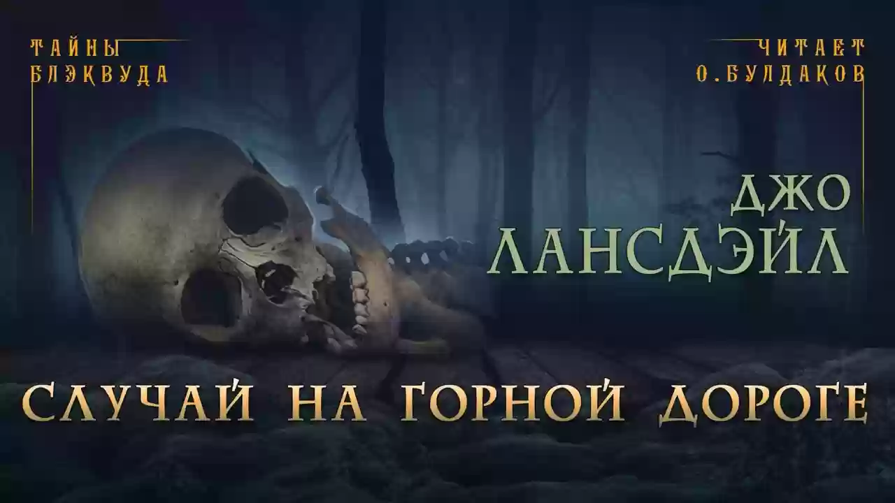 постер аудиокниги Случай на горной дороге