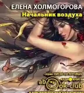 постер аудиокниги Начальник воздуха