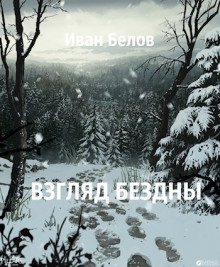 постер аудиокниги Взгляд бездны