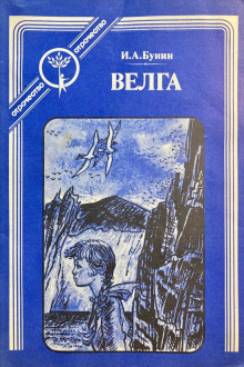 постер аудиокниги Велга