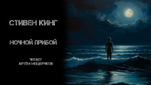 постер аудиокниги Ночной прибой