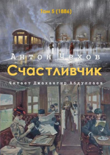 постер аудиокниги Счастливчик