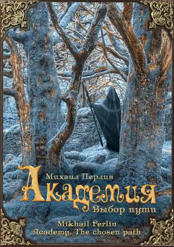 постер аудиокниги Академия. Выбор пути