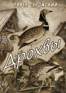 постер аудиокниги Дрохвы