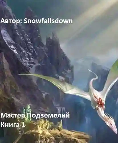 постер аудиокниги Мастер подземелий