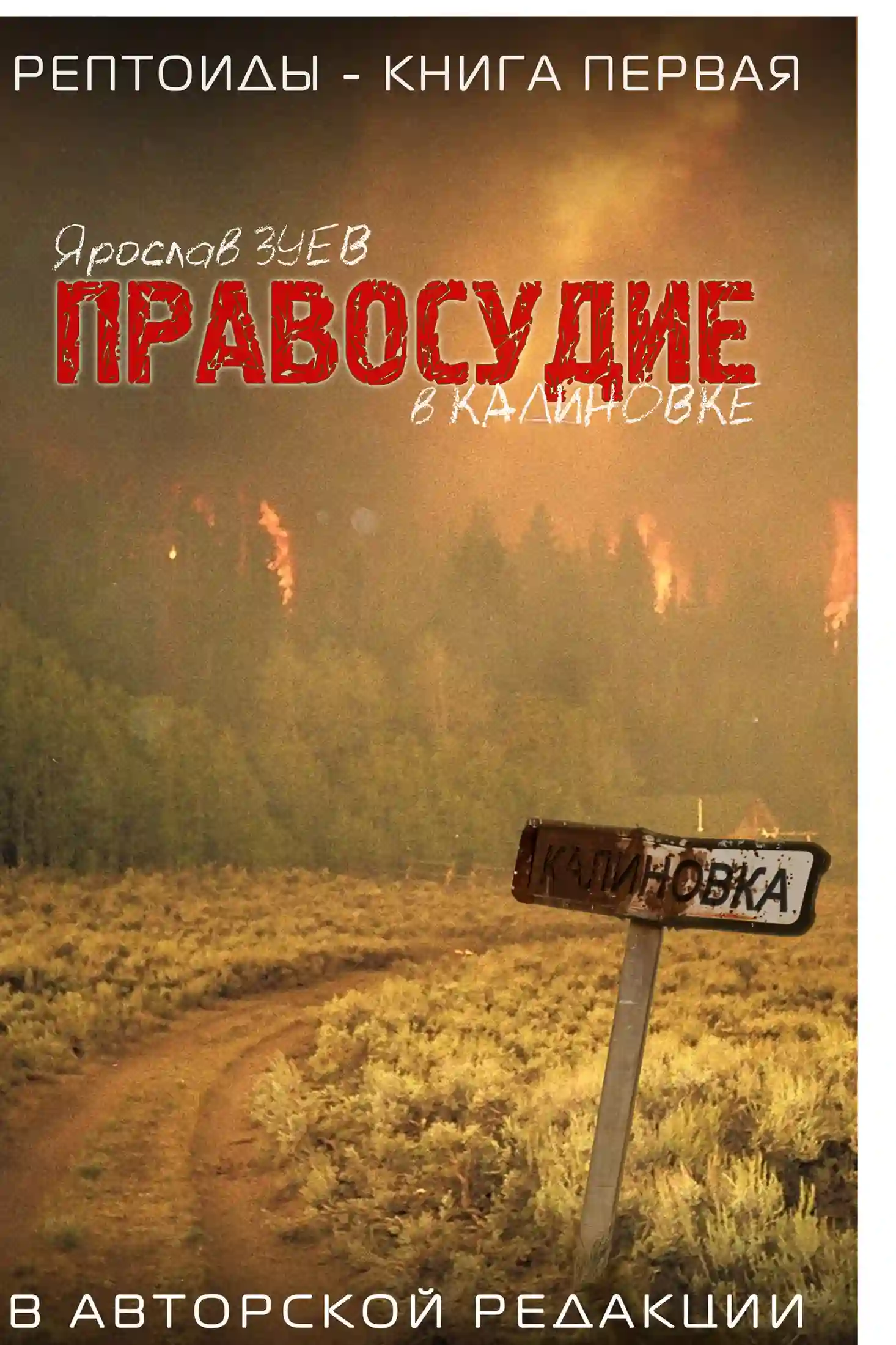 постер аудиокниги Правосудие в Калиновке