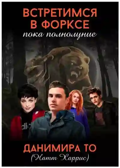 постер аудиокниги Встретимся в Форксе, пока полнолуние…