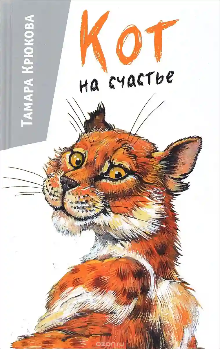 постер аудиокниги Кот на счастье