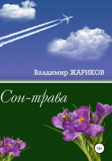 постер аудиокниги Сон-трава