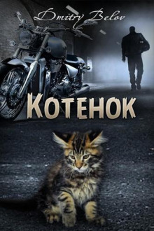 постер аудиокниги Котенок